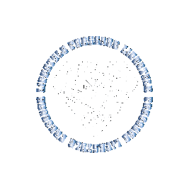 Pressure Lifestyle Brand
